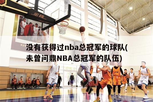 没有获得过nba总冠军的球队(未曾问鼎NBA总冠军的队伍)