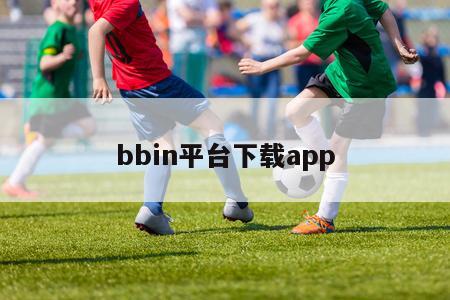 bbin平台下载app