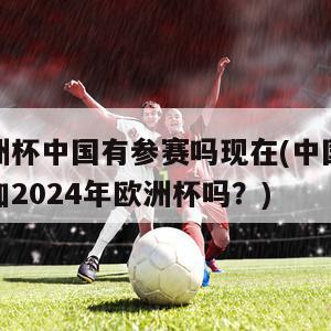 欧洲杯中国有参赛吗现在(中国队参加2024年欧洲杯吗？)