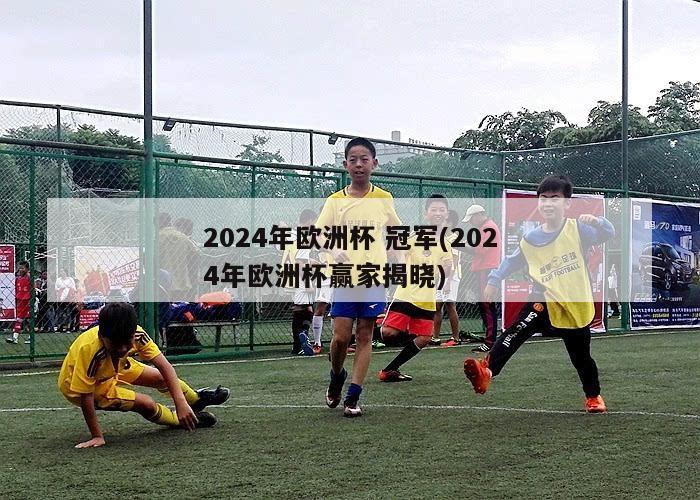 2024年欧洲杯 冠军(2024年欧洲杯赢家揭晓)